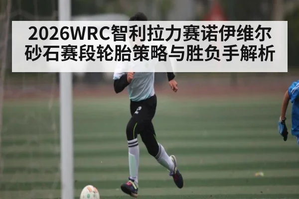 2026WRC智利拉力赛诺伊维尔砂石赛段轮胎策略与胜负手解析