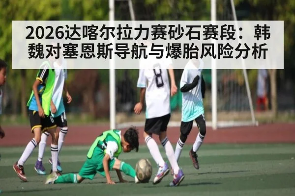 2026达喀尔拉力赛砂石赛段:韩魏对塞恩斯导航与爆胎风险分析